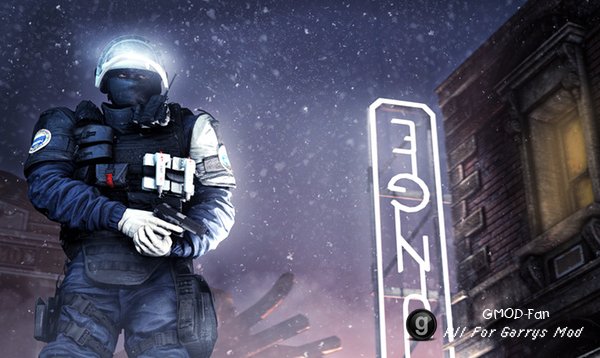 R6S: Doc P.M. and Ragdoll