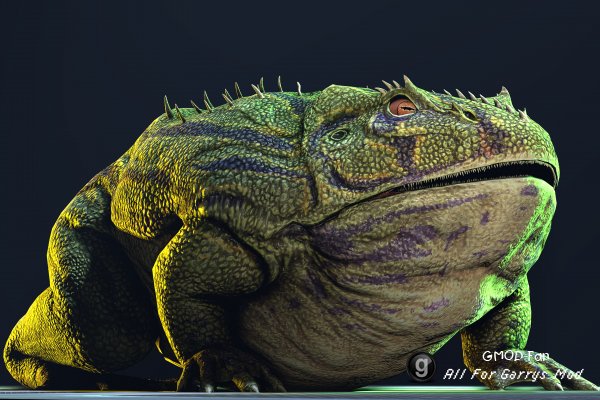 Beelzebufo Ampinga