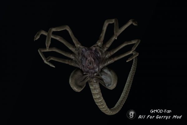Aliens CM : Xenomorphs