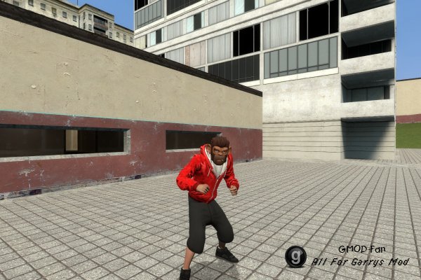 Lui Calibre Player Model