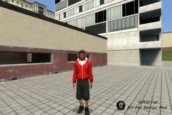Lui Calibre Player Model