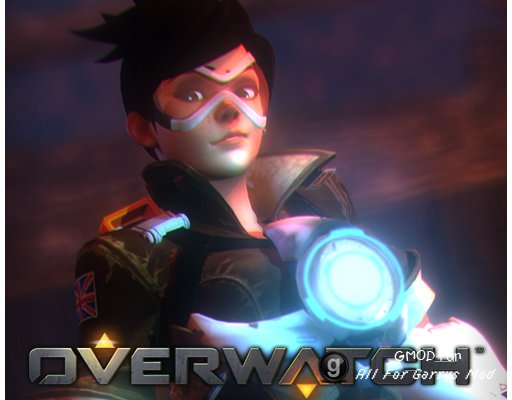 OW Tracer P.M. and Ragdoll