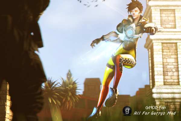 OW Tracer P.M. and Ragdoll