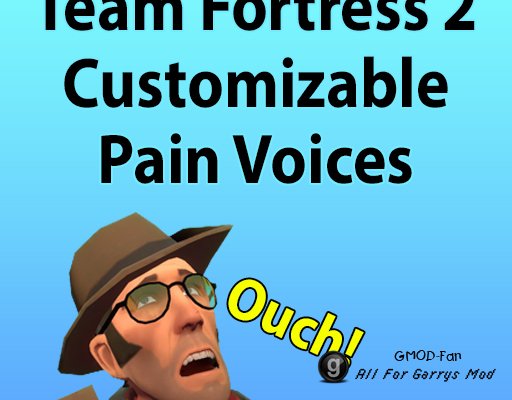 Team Fortress 2 Customizable Pain/Death Voices