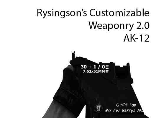 AK-12 [CW 2.0]