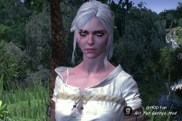 The Witcher 3: Wild Hunt - Ciri (NPC & Playermodel)