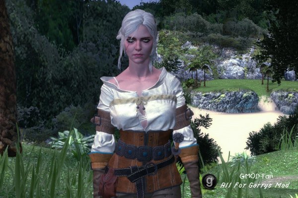 The Witcher 3: Wild Hunt - Ciri (NPC & Playermodel)