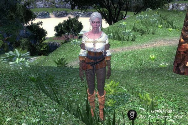 The Witcher 3: Wild Hunt - Ciri (NPC & Playermodel)