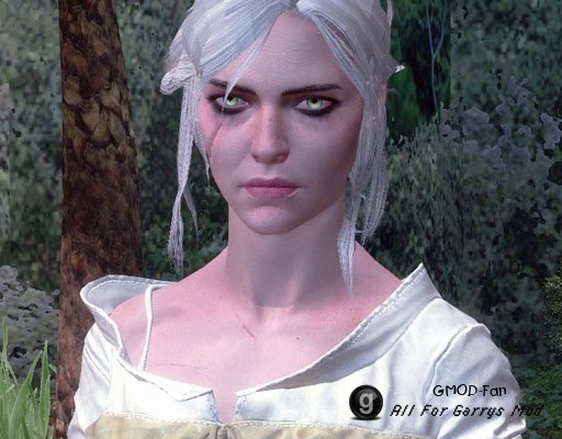 The Witcher 3: Wild Hunt - Ciri (NPC & Playermodel)