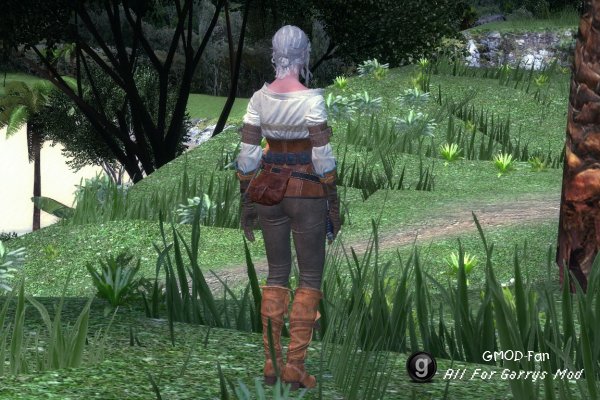 The Witcher 3: Wild Hunt - Ciri (NPC & Playermodel)