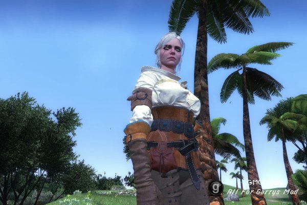 The Witcher 3: Wild Hunt - Ciri (NPC & Playermodel)