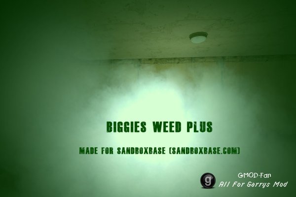 Weed Plus (Biggies Bong)