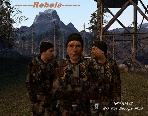 Camouflage Rebels