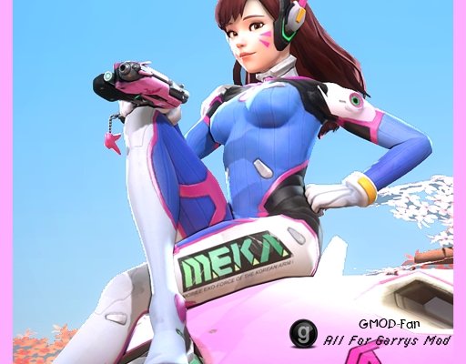 OW || D.Va [PM/RAG/NPC/VOX]