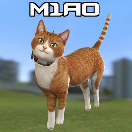 M1A0 Cat Gun