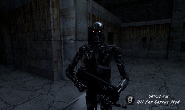 Terminators SNPCs