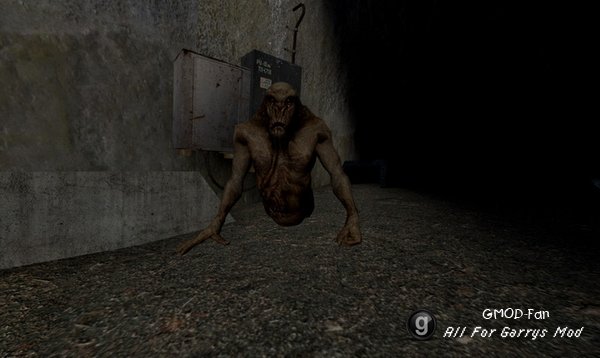STALKER RP SNPCs