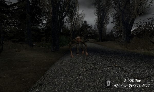 STALKER RP SNPCs