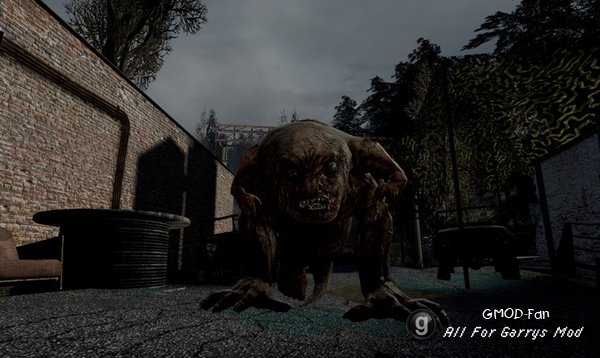 STALKER RP SNPCs