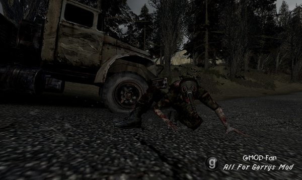 STALKER RP SNPCs