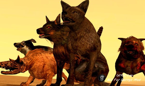 Fallout SNPCs