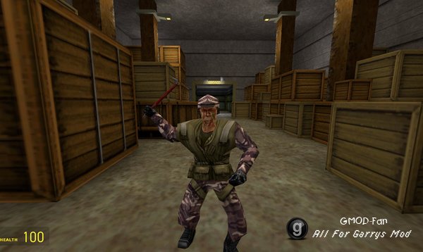 Оружие и плеермодели из Half-Life: Alpha