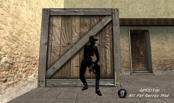 Half-Life SNPCs