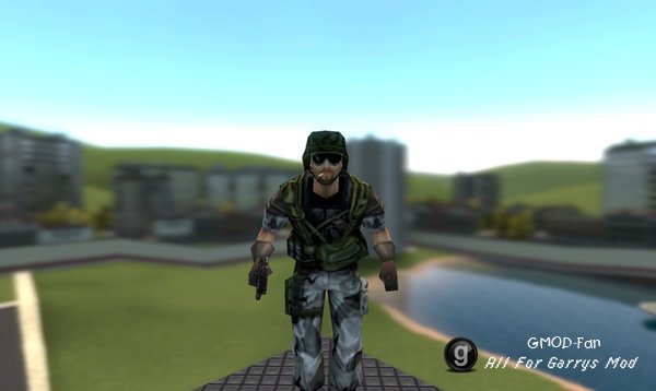Half-Life SNPCs