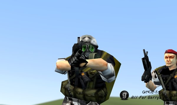 Half-Life SNPCs