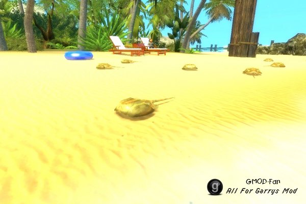 [VJ base] Horseshoe Crab SNPC