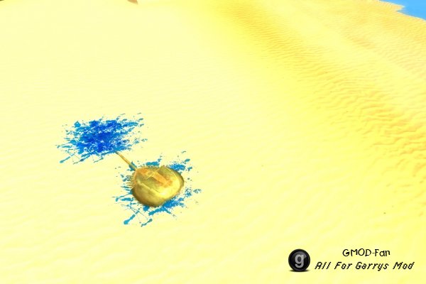 [VJ base] Horseshoe Crab SNPC