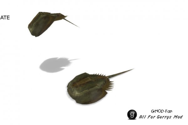 [VJ base] Horseshoe Crab SNPC