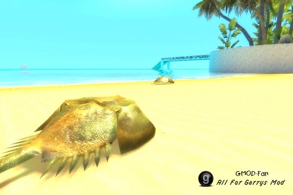 [VJ base] Horseshoe Crab SNPC