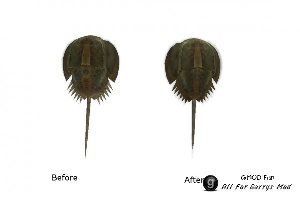 [VJ base] Horseshoe Crab SNPC