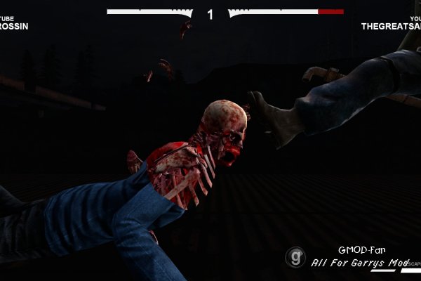 Ragdoll Fight