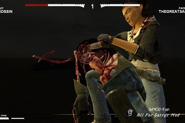 Ragdoll Fight