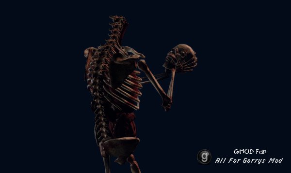 Skeletons