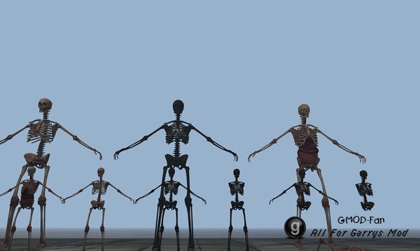Skeletons