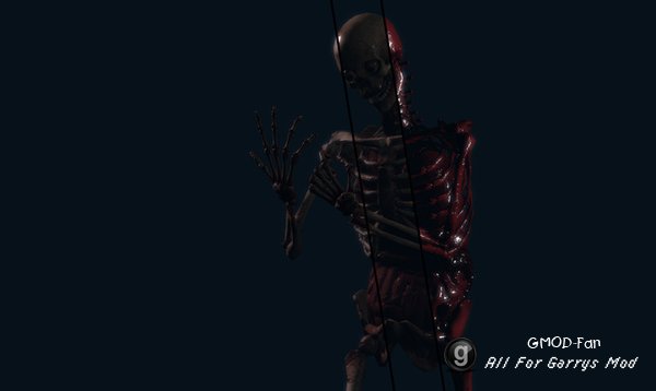 Skeletons