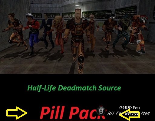 Half-Life DM Source Pill Pack
