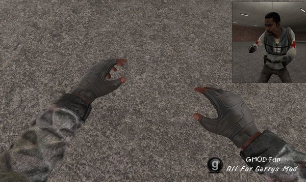 Rebel View Model Hands