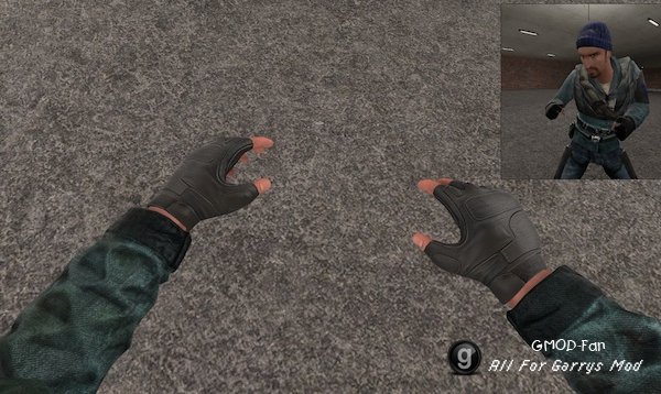 Rebel View Model Hands
