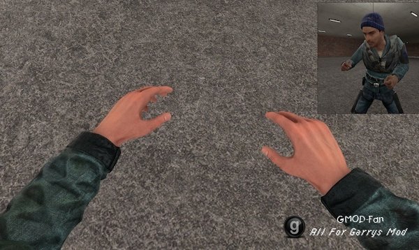 Rebel View Model Hands