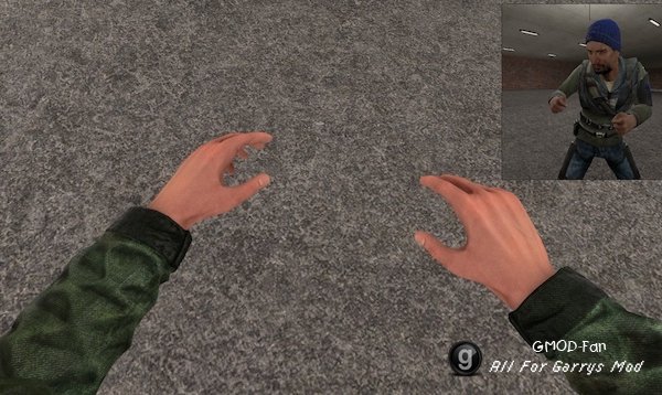 Rebel View Model Hands
