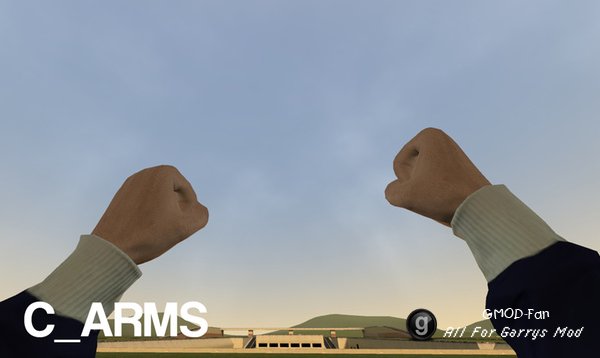 Anonymous Customizable Playermodel