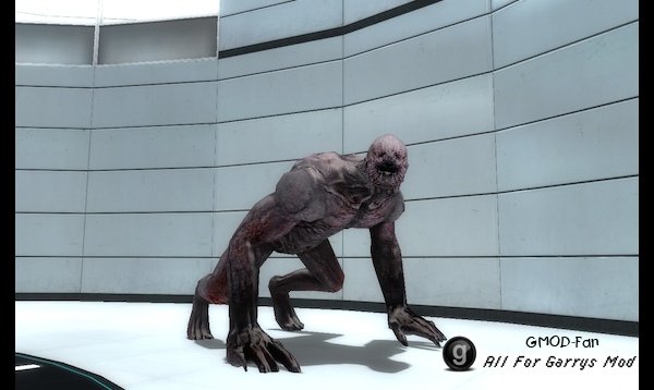 Prototype models pack (Ragdolls)