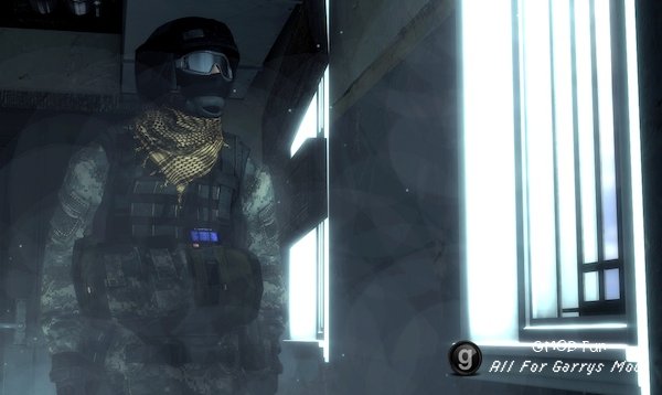 Hunt Down The Freeman - Soldier