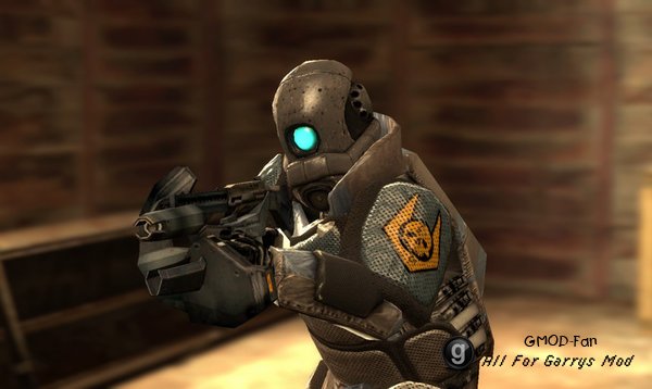 Combine Armored PMs and NPCs