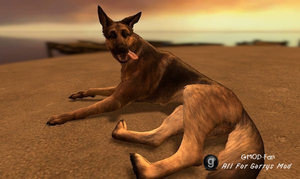 Fallout 4 Dogmeat [RAG]