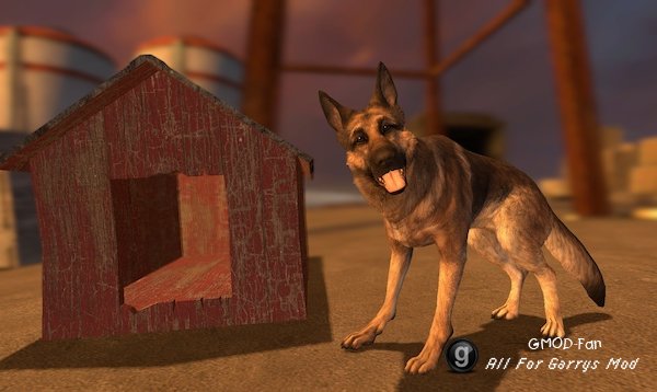 Fallout 4 Dogmeat [RAG]